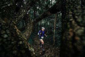 BIB: 
                            <button type="button" onclick="openModal(25677658)" class="btn btn-primary btn-sm float-right btn-popup" data-toggle="modal" data-target=".modal-high-quality">
                        <i class="fas fa-shopping-cart"></i> Add to Cart
                    </button>
                                            <button type="button" onclick="isThisMe(25677658, true)" class="btn btn-success btn-sm float-right btn-popup btn-isme hidden" data-toggle="tooltip" data-placement="bottom" title="นี่คือรูปของคุณใช่ไหม คลิกที่นี่เพื่อเอาเข้าอัลบั้ม">
                        <i class="fas fa-plus"></i> Add to album
                    </button>
                    <button type="button" onclick="isThisMe(25677658, false)" class="btn btn-warning btn-sm float-right btn-popup btn-isnotme hidden">
                        <i class="fas fa-ban"></i> Remove from album
                    </button>